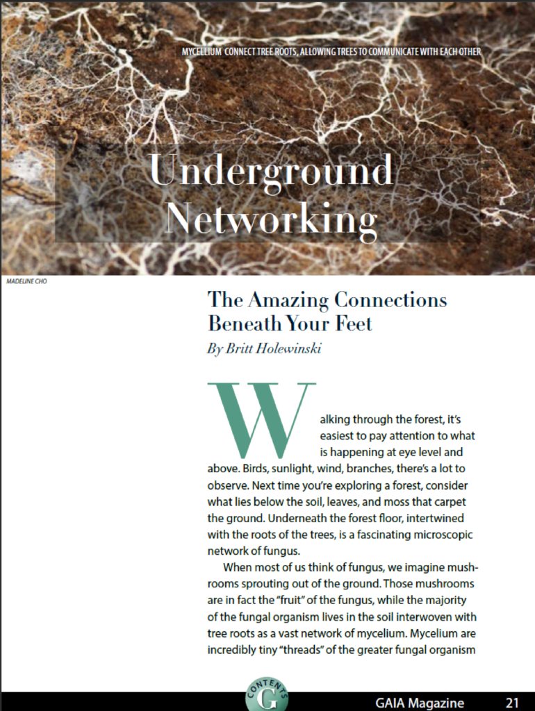 Gaia Article Page 1