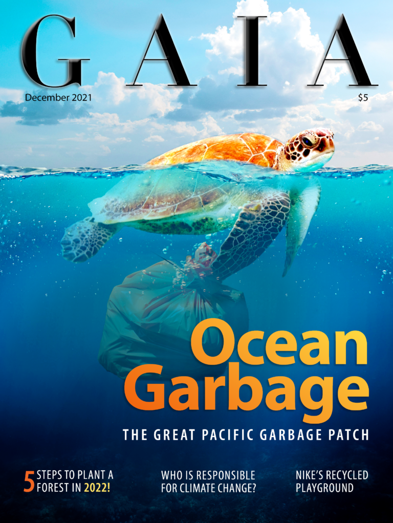 Gaia Magazine
