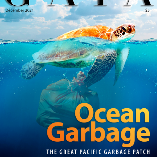 Gaia Magazine